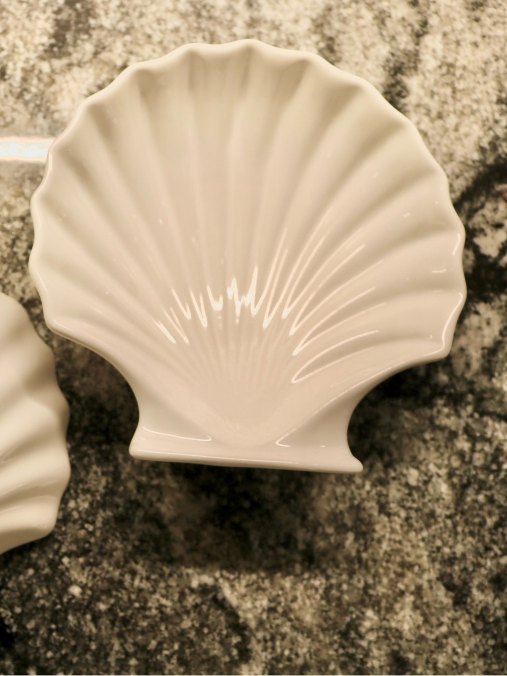 Porcelain Shell Dish Set - Creamy White